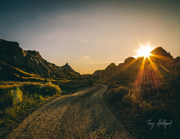 Dinosaur Provincial Park Sunburst Hi Res   A3 by Tracy Abildgaard